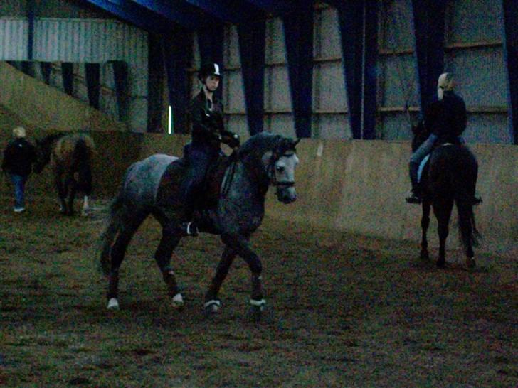 Hollandsk Sportspony Vanda's Paulo Magnus *MINPRINS* - Min dressurpony :D elsker det billed <3 billede 9