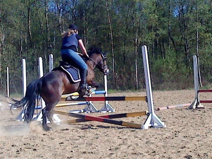 Anden særlig race Cassiopeia - mig og Cassio eeelsker dobelt spring. :O billede 12