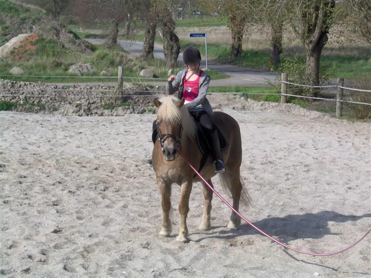 Tyroler Haflinger Fantazia af Lundgaard - Året første ride tur. April 09 billede 20