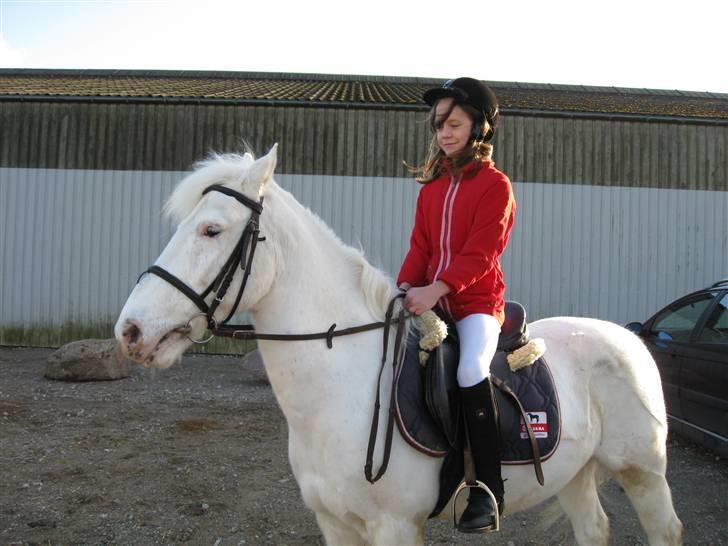 Knabstrupper plet(rideskolshest) - mig og plet efter et stævne men vi vandt ikke æv billede 2