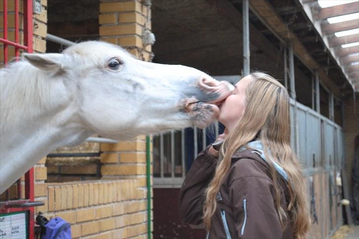 Anden særlig race Sir Camelot - kyyys  :*  foto: Amalie <3 billede 3