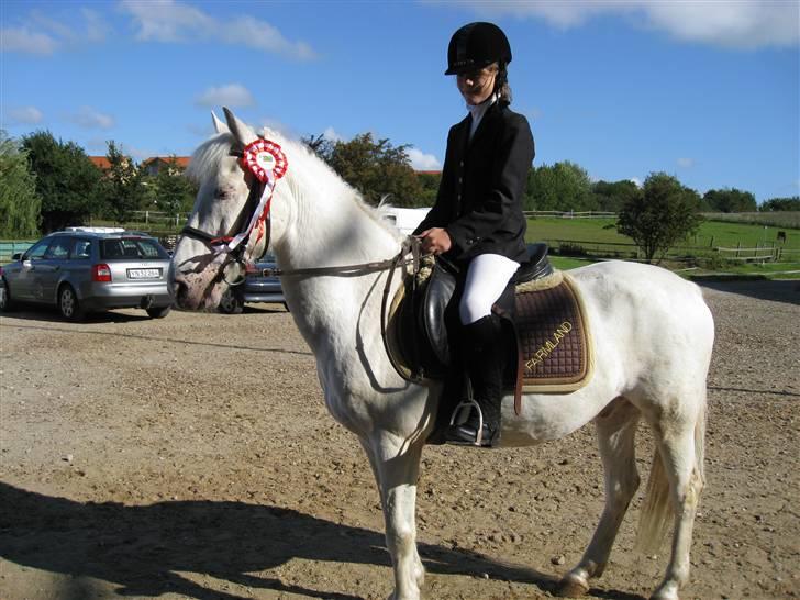 Knabstrupper plet(rideskolshest) - mig og plet efter et stævne hvor vi vandt for første gang billede 4