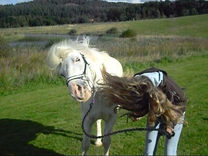 Anden særlig race Sir Camelot - trick: ryste på hovedet! :´) foto: mor billede 5