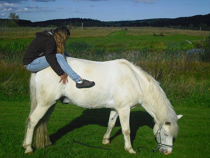 Anden særlig race Sir Camelot - var der nogen der sagde idiotsikker? Ö  haha, hvor du sød basse :´) <3 foto: moar  billede 6