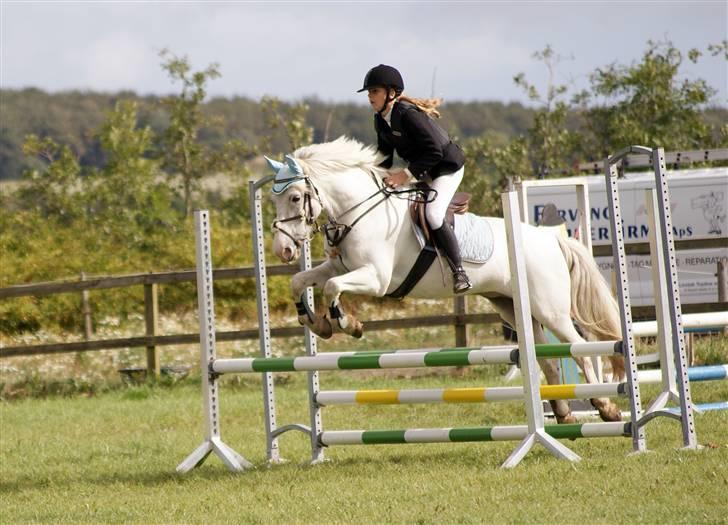 Anden særlig race Sir Camelot - **FØRSTE STÆVNE SAMMEN**<3 i Thorsø  :D  foto: veronica billede 7