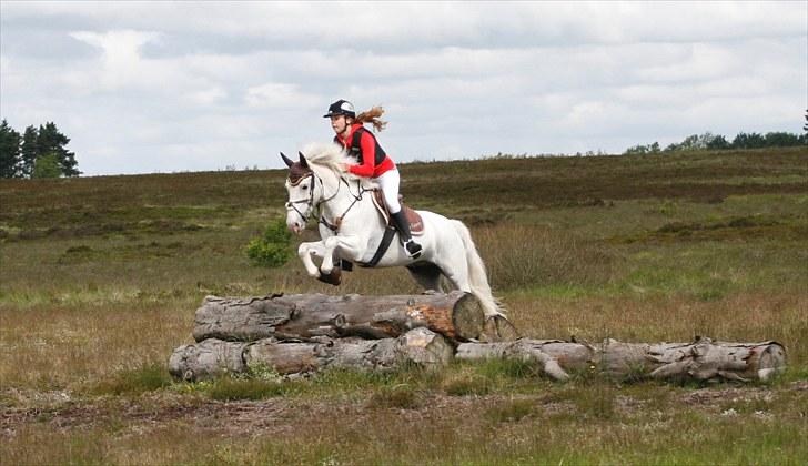 Anden særlig race Sir Camelot - jagt 2010 :´D foto: !?! billede 8