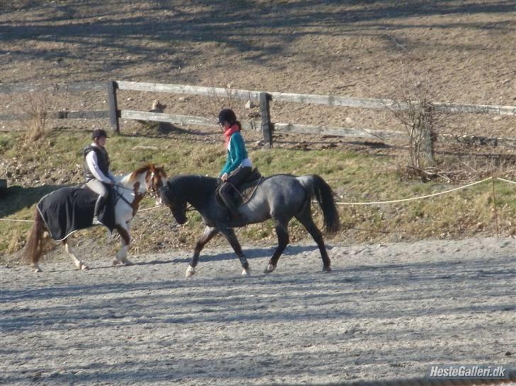 Anden særlig race Gipsy<3 - R.I.P  - FORDI AT JEG ELSKER DIG! <3 nedsidning.. billede 20