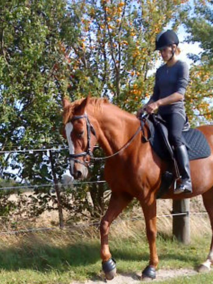 Traver Almathea Lark  R.I.P - (17) smukke alma og mig i træning undskyld kvaliteten foto: frederikke billede 5