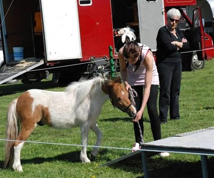 Dansk Miniature Egehøj's Casino Z - DMHF´s aktivitetsdag Casino fotograferet at Team Topper billede 6