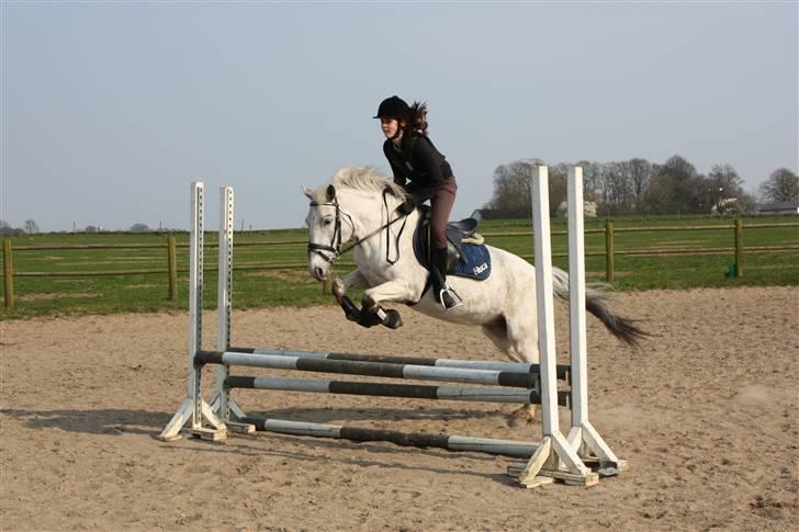 Anden særlig race Filuca billede 15