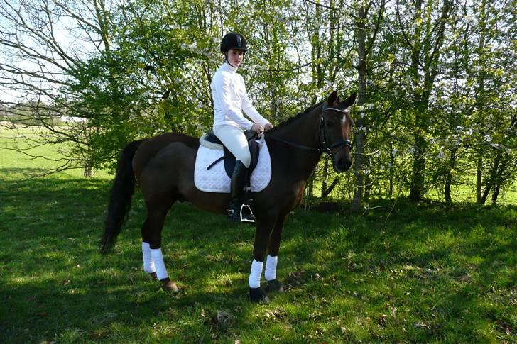 Anden særlig race Montoya<3 - det var ret varmt så smed jakken lige efter jeg havde været på banen <3 billede 7