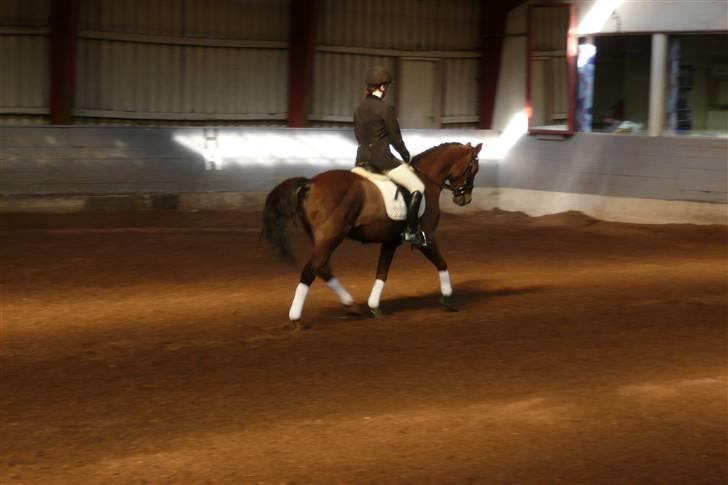 Anden særlig race Montoya<3 - på af midterlinjen billede 8