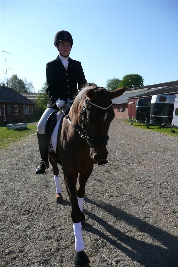 Anden særlig race Montoya<3 - fik solen lige i øjnene så det er derfor jeg kniber dem sammen :-P billede 9