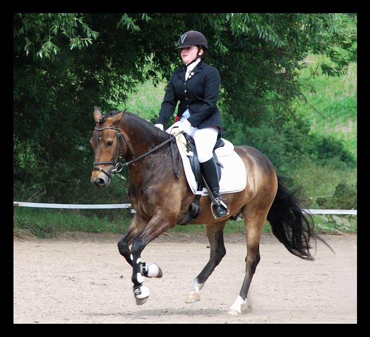 New Forest Strandagers Makenzy *SOLGT* - Juuuhuuu Galop øgning :D. Taget af: Karen<3 billede 20