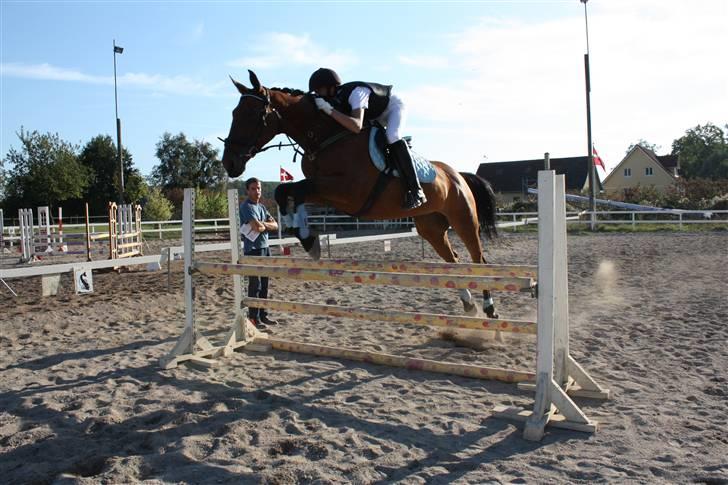 Anden særlig race Thilde  -  Opvarmning til LD i Årslev09 (:            Taget af : Maria Holm  billede 2