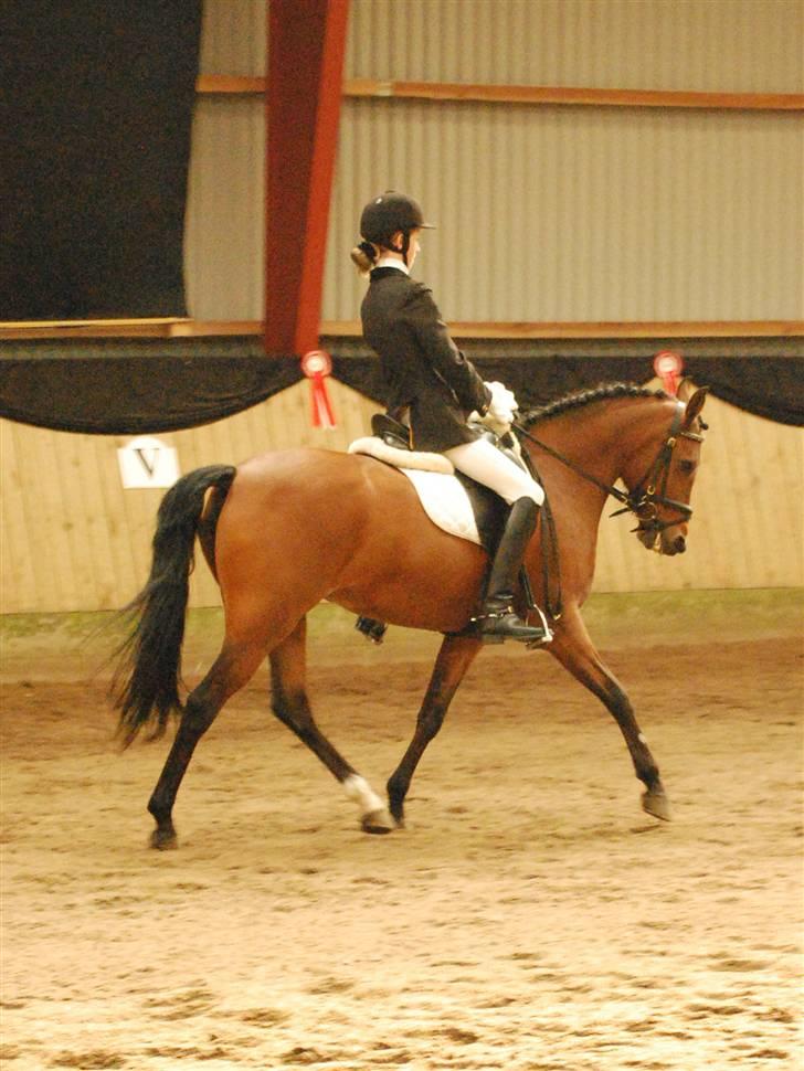 DSP Farinelle II   *R.I.P* - Traversade til Solrøds landsstævne billede 17