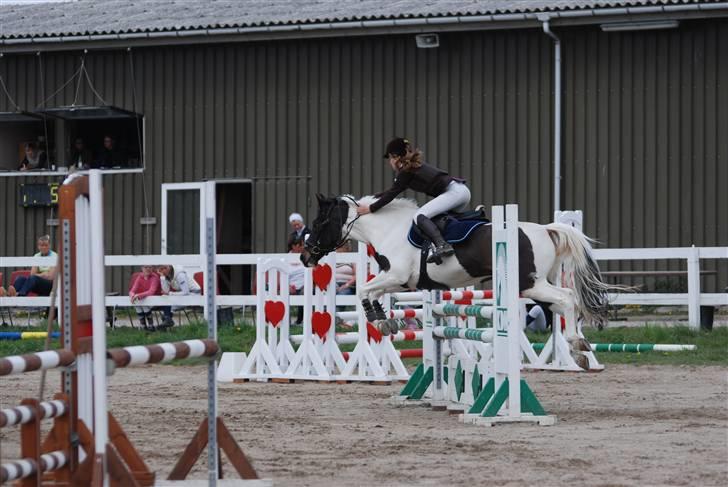 Tysk Sportspony Kiowa 006  *R.I.P* - Kiowa & Mig til stævne vi blev nr. 2 <33 (i la) Blev lige hurtigt slået af næst sidste rytter. billede 17