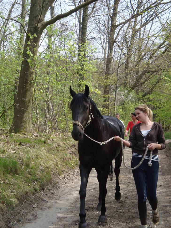 Anden særlig race Mrs. Coco † R.I.P SAVNET  - smuk :-* billede 15