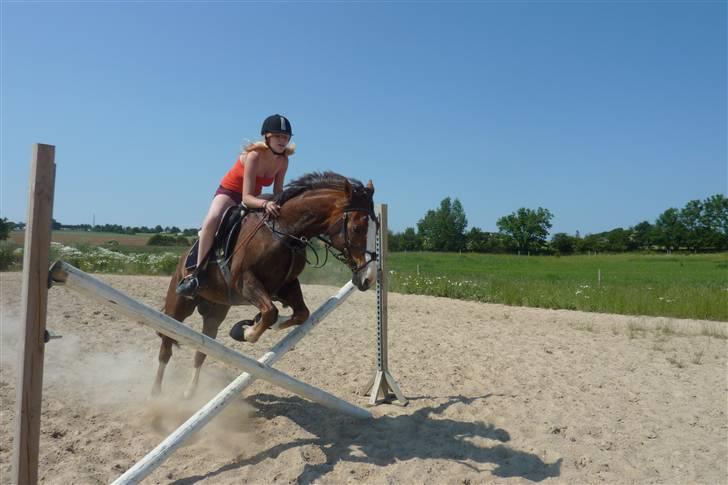 Hollandsk Sportspony Rico<3  - elsker dig skat ´<3 billede 14