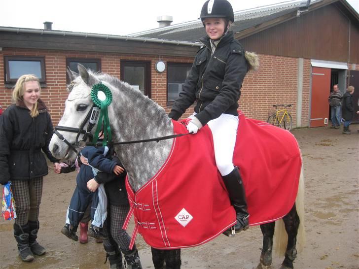 Welsh Pony (sec B) Klintholms SirJames - Springstævne i TJR, 3. plads billede 10
