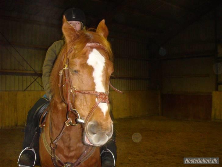 Anden særlig race Smarties R.I.P - Træt efter springtræning ^^ <333 billede 17