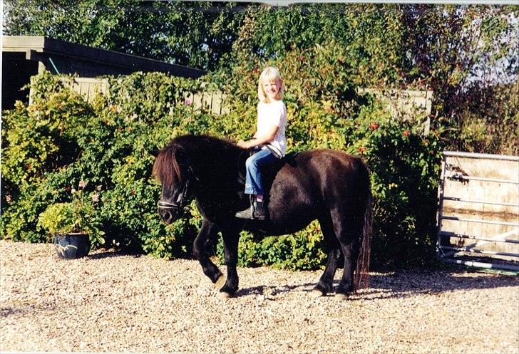 Anden særlig race Sille - Foto: Mor billede 13