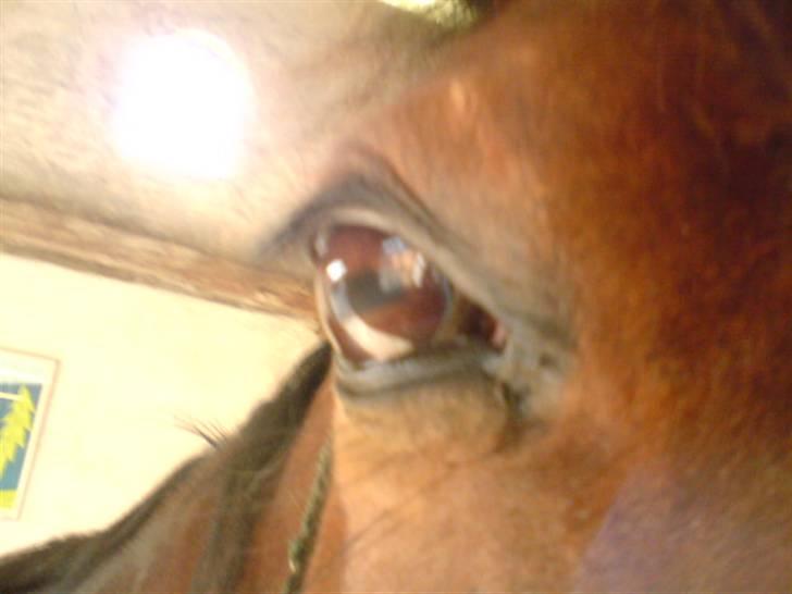 Traver Hovsa Tarka-Ka *helpart* - » du er min øjesten ii:´<3 billede 14