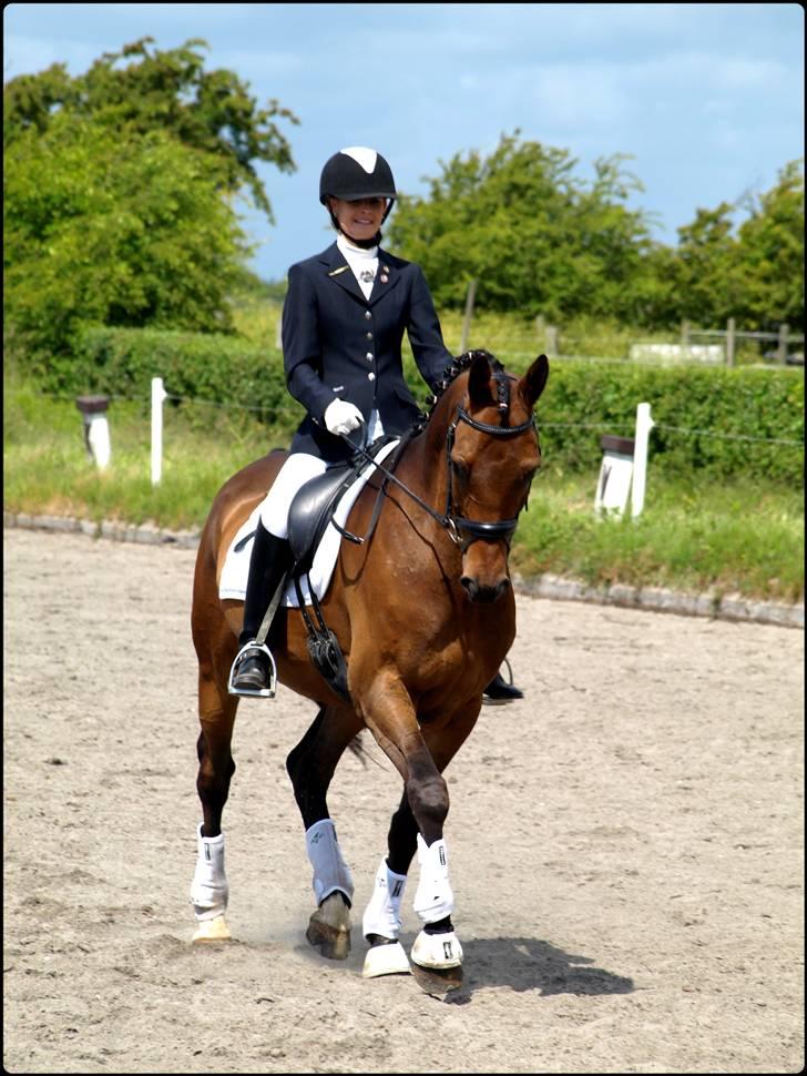 Dansk Varmblod Zushi  - Stævne i DSM - LB3 - 66,5% og nr. 1. billede 6