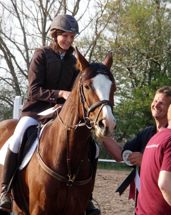 Westfaler Lilliefee R.I.P - Præmieoverækkelse Allerupgård Klubcup. Blev nr. 7 i cuppen. Første stævne. Fototgraf Therese billede 14