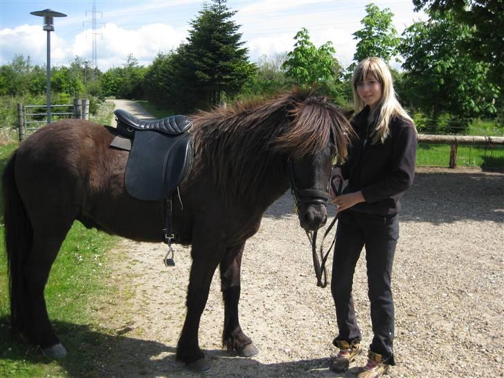 Islænder Svartur fra Hindø - Velkommen til Svartur´s profil (: billede 1
