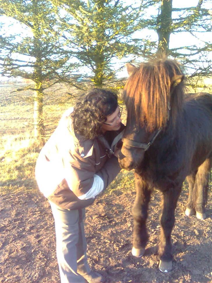 Islænder Svartur fra Hindø - mor og svartur. sødt (; <3 billede 2