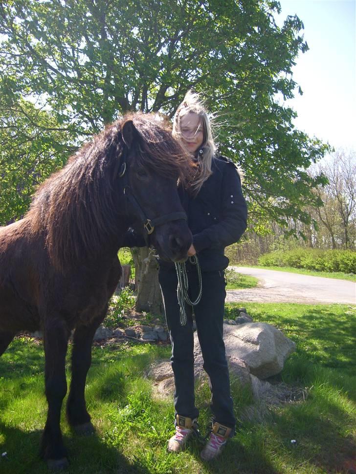 Islænder Svartur fra Hindø - Svartur og mig ;D billede 9