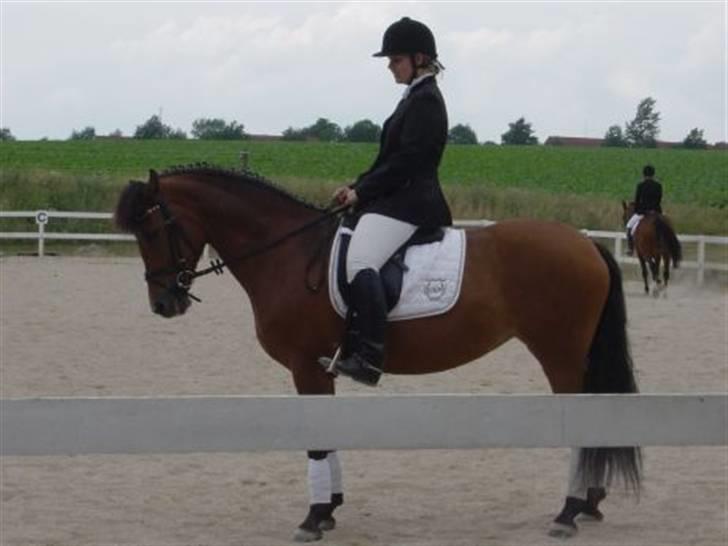 DSP Skovlundegårds Mathilde - Os til stævne. Maribo rideklub og en LB2A, hvis jeg husker rigtigt! billede 8