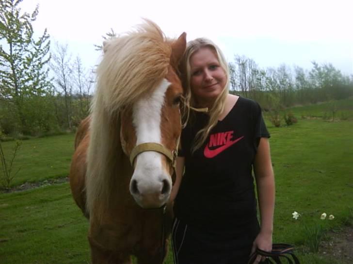 Islænder Von fra Minna-Hofi(SOLGT) - Von og min søster billede 16