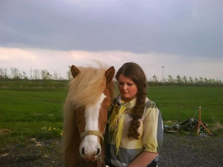 Islænder Von fra Minna-Hofi(SOLGT) - mig og von :) billede 18