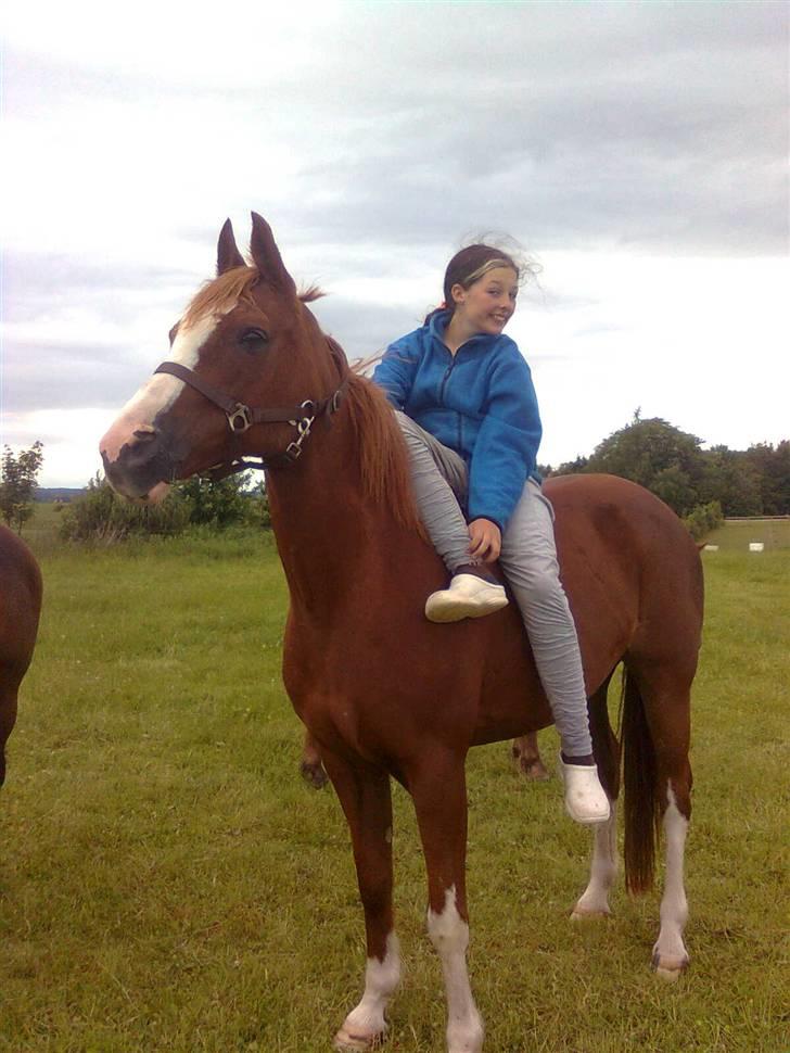 Svensk Sportspony  Isabell<3 - 17. Fordi; damesadle & os fuc´ing styrer? Foto: Sara <3 billede 17