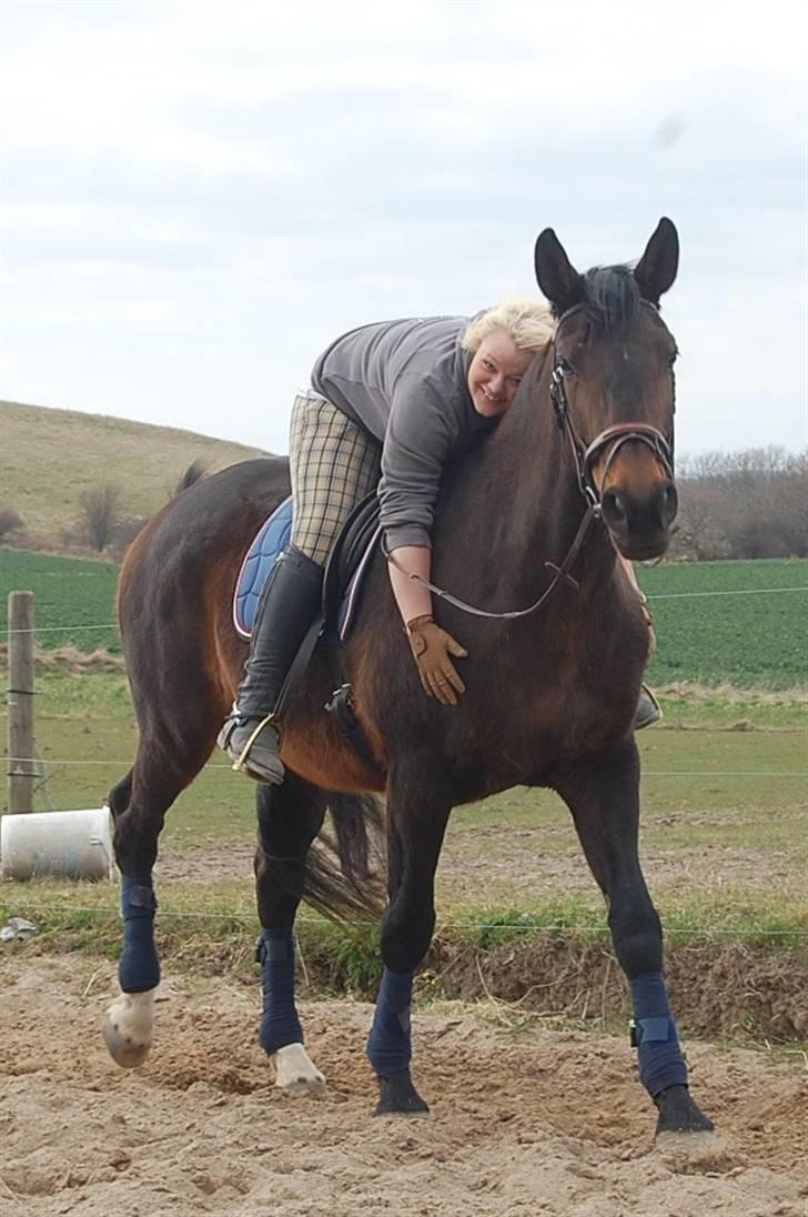 Dansk Varmblod Mathilde - Mor og Mathilde billede 1