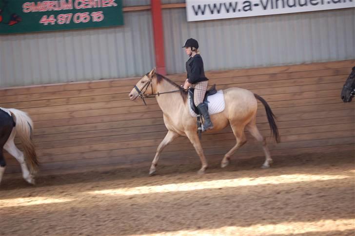 Anden særlig race Shikira R.I.P billede 11