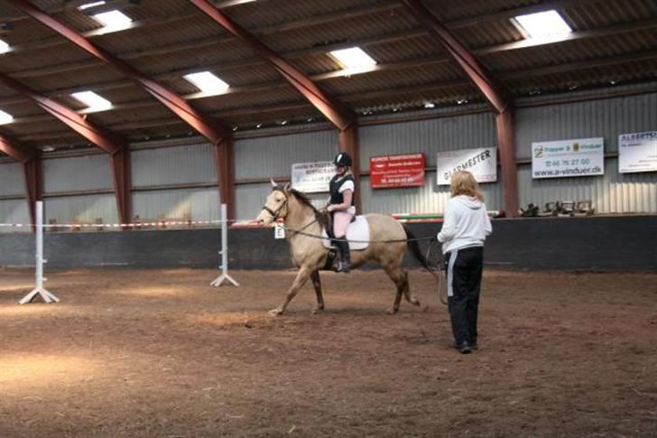 Anden særlig race Shikira R.I.P - foto : hans billede 12