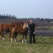 Anden særlig race marni solgt