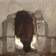 Miniature Frække Frida ;D 