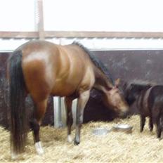 Miniature Frække Frida ;D 