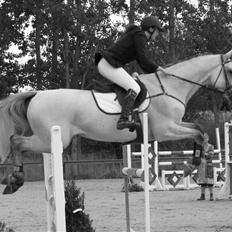 Holstener Contino - R.I.P <3