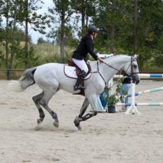 Holstener Contino - R.I.P <3