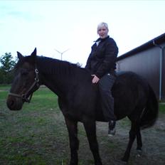 Anden særlig race Macgore