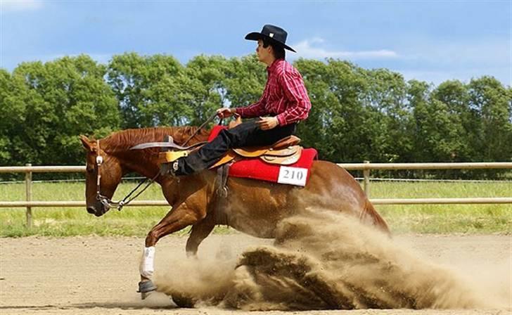 Quarter Impressive Majority billede 1