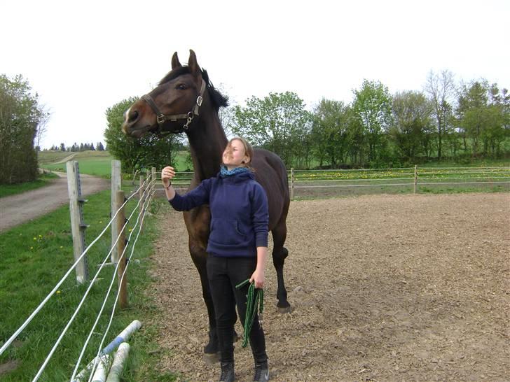 Oldenborg Chanell SOLGT  billede 10