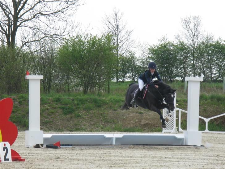 New Forest Kantje's Valentijn(solgt) - Valle over vandet i s´en. billede 9