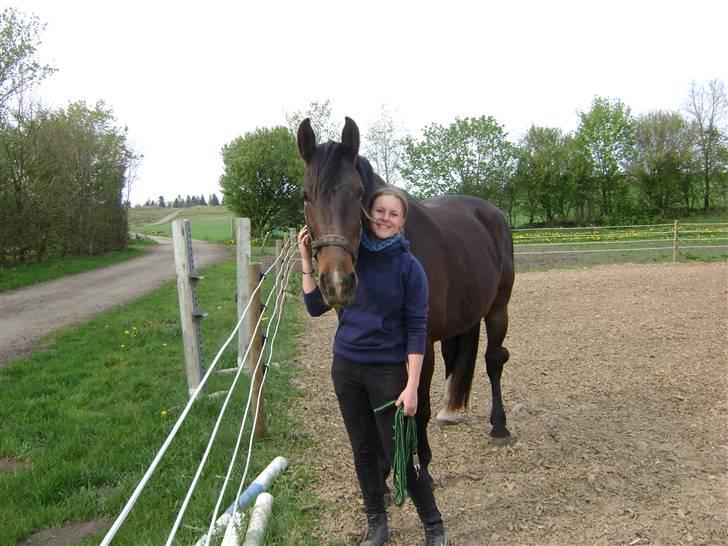 Oldenborg Chanell SOLGT  billede 12