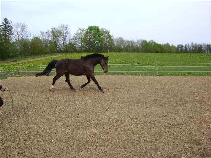 Oldenborg Chanell SOLGT  billede 13